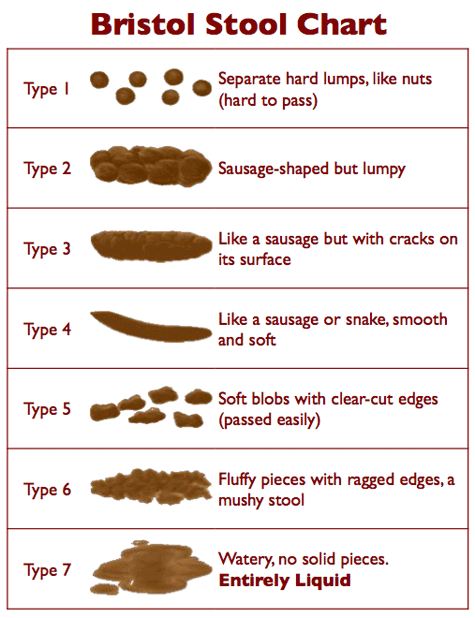 Bristol Stool Chart showing stool Types 1 to 7, from separate hard lumps to watery stool